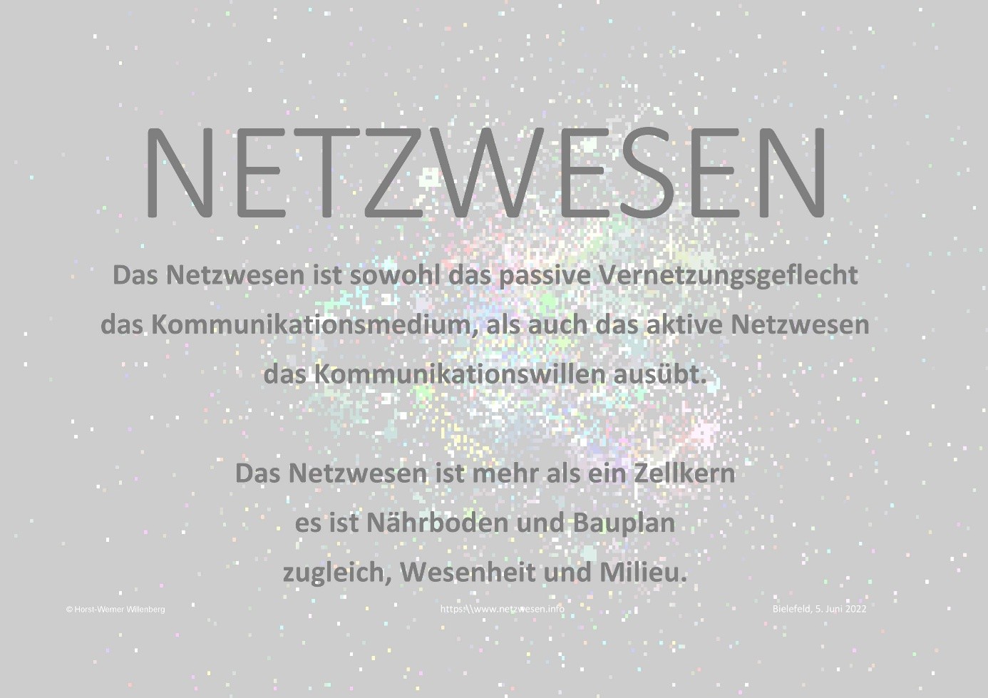 netz netz